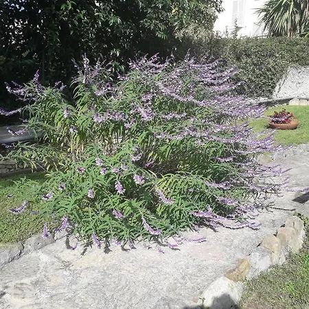 La Casa Di Anna, In Palazzina Liberty Fronte Parco דירה